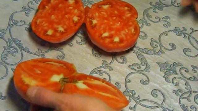 Томат Хейс. Тест спелых плодов. смотреть онлайн