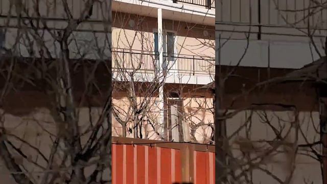 27 ЯНВАРЯ ИТОГИ СДАЧИ ДОМА В АБХАЗИИ СДАЮ ЖИЛЬЕ У МОРЯ ДОРОГА К МОРЮ смотреть онлайн