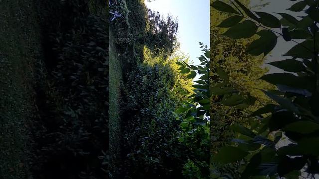 Covid 19 anno 2025 tutti quasi Morti смотреть онлайн