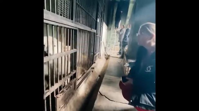 ПОЗДРАВЛЯЕМ С ДНЕМ РОЖДЕНИЯ НАШЕГО ДИРЕКТОРА! смотреть онлайн