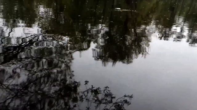 VID 1653606785512 Весна отсияла... ( Н. Клюев)...Павел Васильев Лахтинский смотреть онлайн