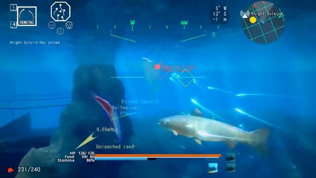 ACE OF SEAFOOD Review смотреть онлайн