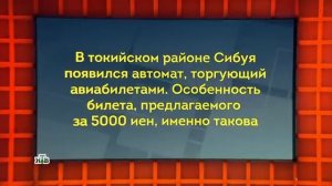 Своя игра. Костина - Карякин - Сайфуллин (12.06.2022)
