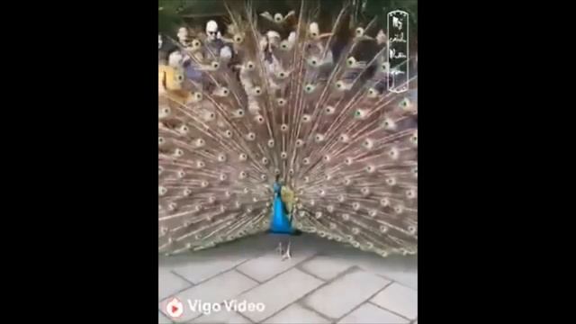 художественный труд 3 класс 4 урок 1 четверть смотреть онлайн