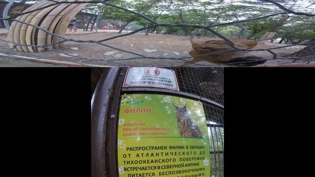 Сафари парк часть 1 смотреть онлайн
