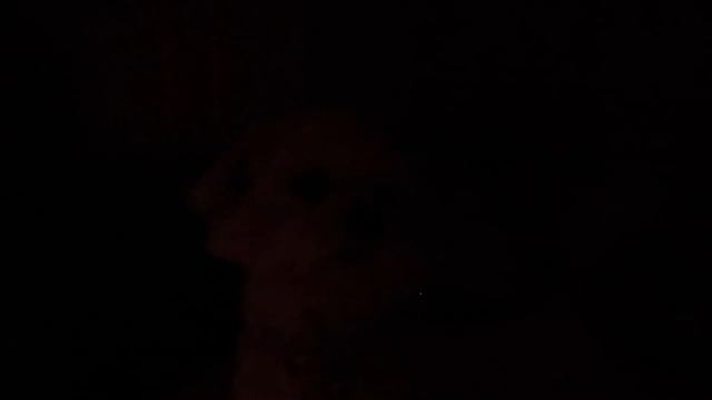 ЗРЯ МЫ ПОЗВОНИЛИ МОМО ИЗ КАРТОННОГО ДОМА В 3 НОЧИ смотреть онлайн