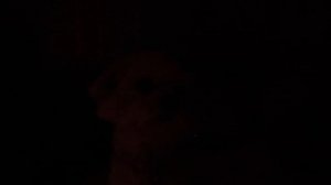 ЗРЯ МЫ ПОЗВОНИЛИ МОМО ИЗ КАРТОННОГО ДОМА В 3 НОЧИ