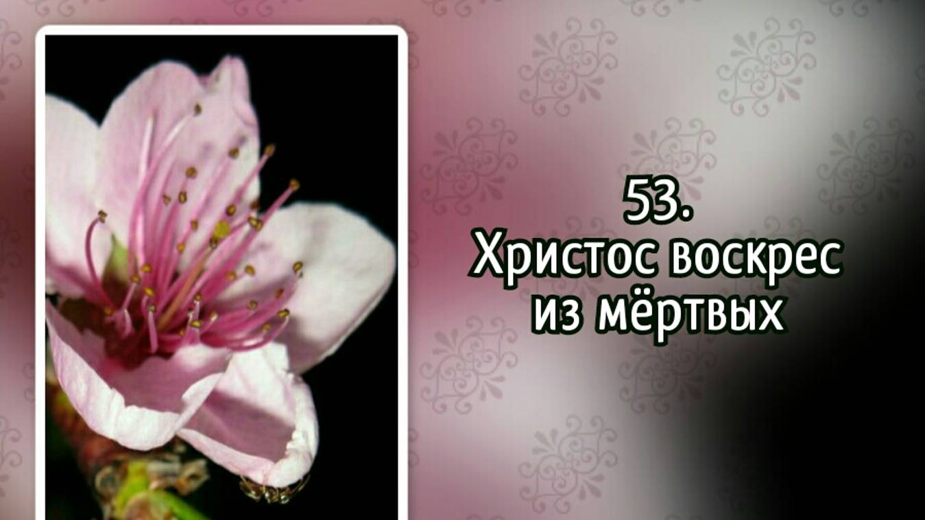 Гимны надежды 53 Христос воскрес из мёртвых (-) смотреть онлайн