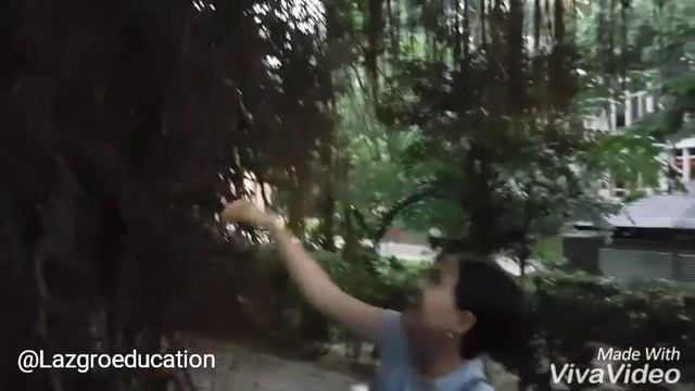 День 5:Летние каникулы в Малайзии- Июль 2016. Башни-Близнецы Петронас Lazgro Summer Camp смотреть онлайн