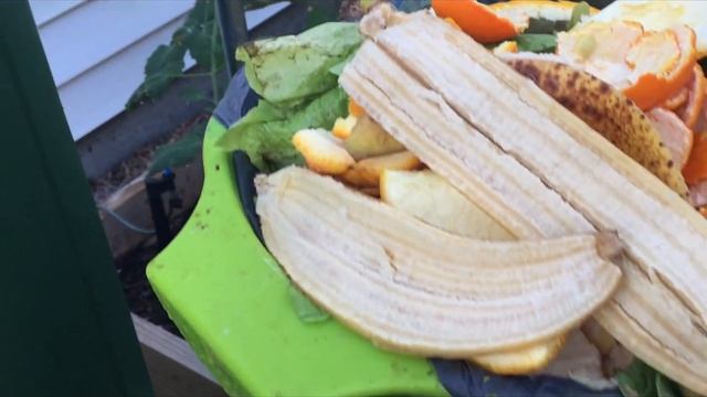 Aerobin400 Composter Review (Aerobin400 堆肥箱的使用感受) смотреть онлайн