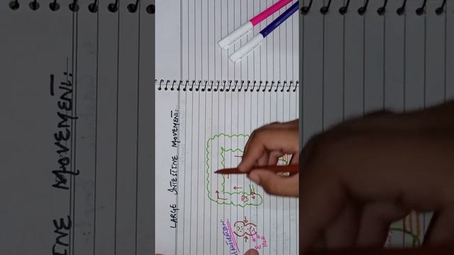 GIT physiology part 9 | Large Intestine Movements | Haustrations and Mass movements смотреть онлайн