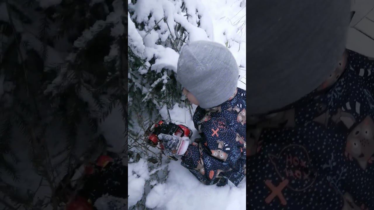 Санек-пирожок в лесном убежище зимой смотреть онлайн