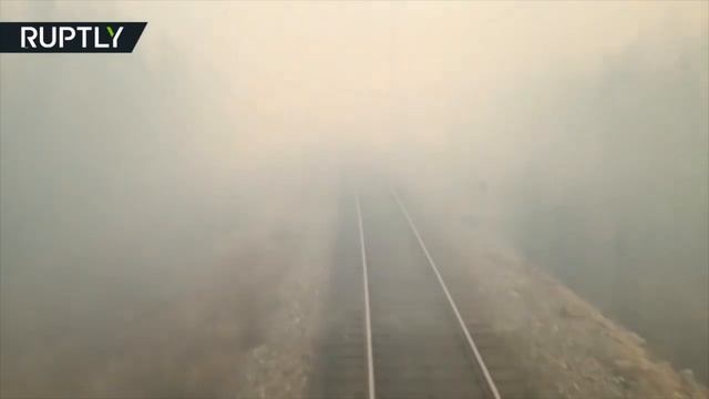 Машинисты поезда проехали через лесной пожар смотреть онлайн