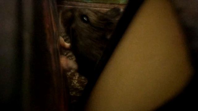 Замуровали! "Побег хомяка" #2 смотреть онлайн