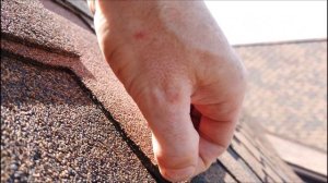 Как выбрать битумную черепицу Технониколь или RoofShield