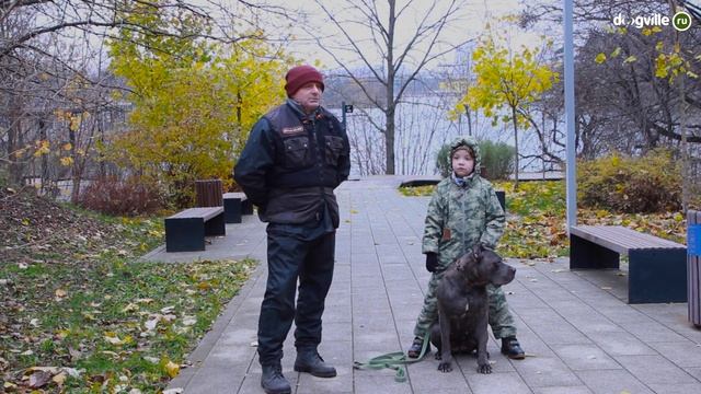 Как научить ребенка правильно обращаться с собакой? - Правила поведения ребенка с собакой смотреть онлайн