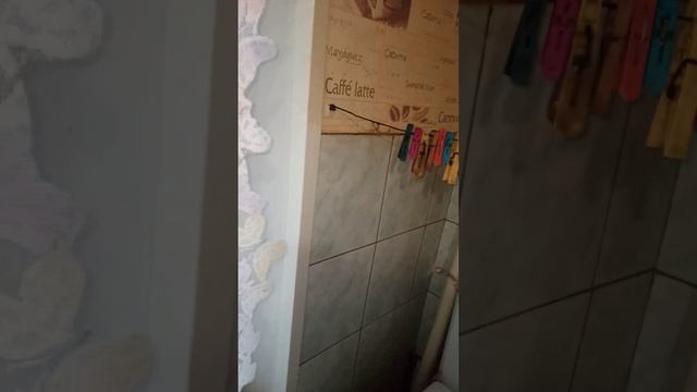 Тест нового Чудо-юдо опрыскивателя с АлиЭкспресс. Проверку прошел)) смотреть онлайн