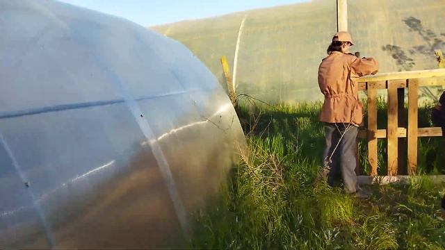 Строительство козовника движется работа золотые руки у батюшки