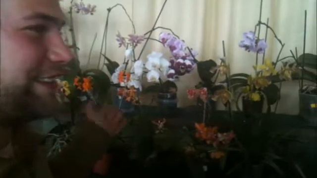 Richard and orchids смотреть онлайн