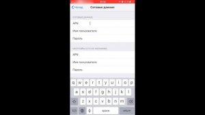 СберМобайл - настройка доступа в интернет (APN) и режима модема для IOS устройств
