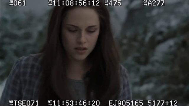 HD Twilight (extended & Deleted) Scene Pack