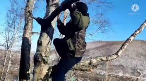 как лазать по деревьям