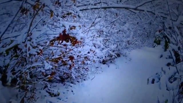 Календарь праздников 21 декабря смотреть онлайн