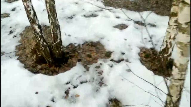 Проверка Петель Попадание Зайца смотреть онлайн