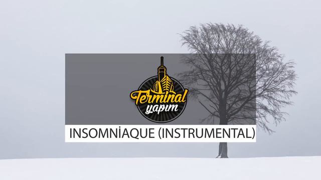 63 - Terminal Yapım #Insomniaque (Instrumental Beat) #Klarnet #Melankolik #Duygusal #Free смотреть онлайн