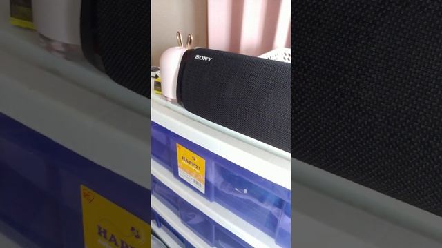 Sony srs xb 43 bass test смотреть онлайн