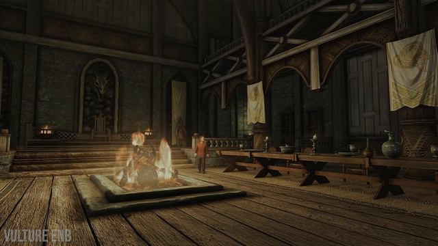 SSE Vulture ENB Preset | Skyrim Special Edition Mod Review смотреть онлайн