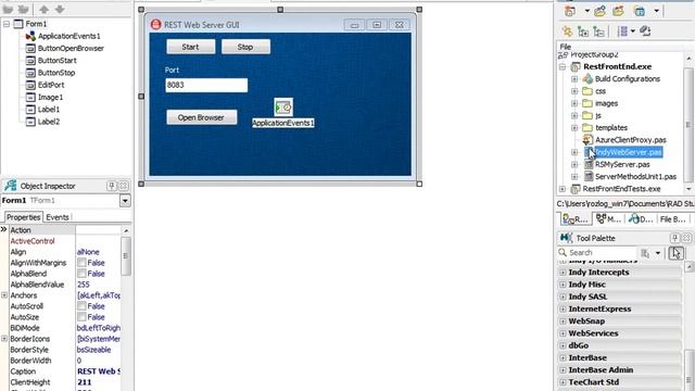 DataSnap XE e Windows Azure, cloud computing em Delphi XE, C++Builder XE e RadPHP XE смотреть онлайн