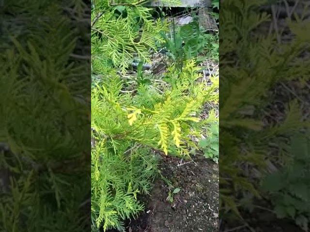 19 июня 2022 г. смотреть онлайн