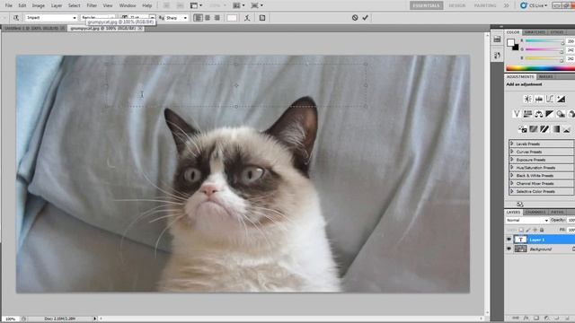 How To Add Default Meme Text To Photos Images Using Photoshop CS6