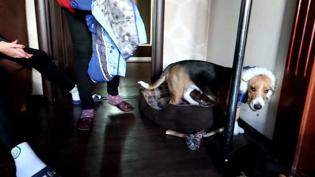 НАСТРОЕНИЕ👎 НИЧЕГО НЕ ХОЧЕТСЯ.. ГРУСТНО