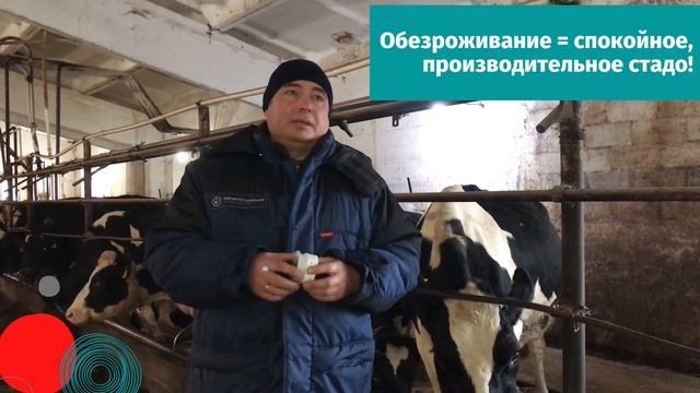 Паста для обезроживания Antihorn смотреть онлайн