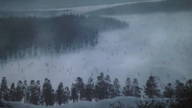 СИНИЙ СУП | ВЛОГ | MASHA MIF смотреть онлайн