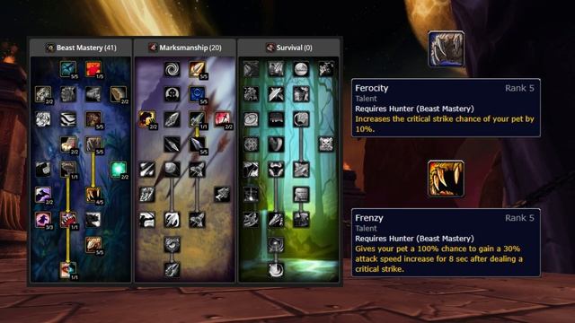 WoW TBC Classic: BM Hunter PVE Guide (Phase 1)