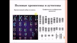 Сцепленное наследование признаков. Биология 9 класс.