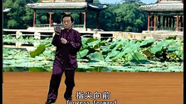 Чэнь Чжанлей Син Цзя ПаоЧуй 1 часть // Chen Zhenglei Sin Jia PaoChui 1 part смотреть онлайн