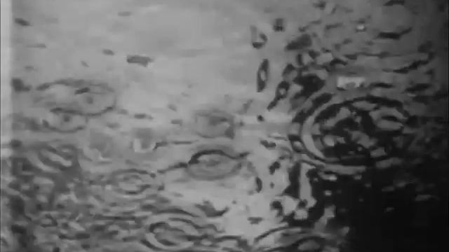 Matt Elliott - Dust Flesh and Bones смотреть онлайн