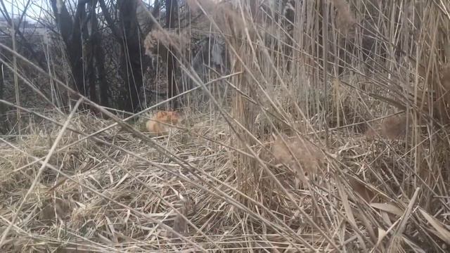 Началось в деревне утро. 19.04.2021 смотреть онлайн