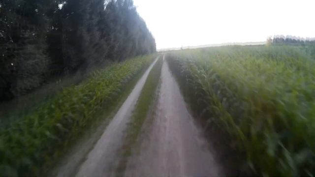 МОТОЦИКЛ MOTOLAND GPX 250 смотреть онлайн