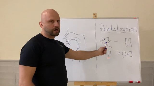 ПАЛАТАЛИЗАЦИЯ в английском. Как избавиться от акцента?! смотреть онлайн