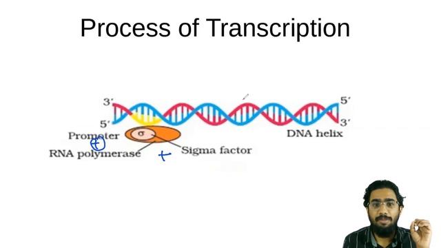 #NEETBiology  TRANSCRIPTION | The Concept &Easy Tricks