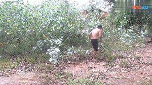 КАК В КИТАЕ СТРОЯТ ДОМА!!