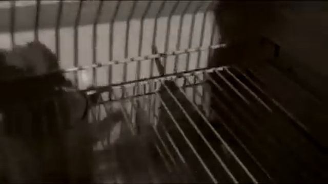 Чистка сливного отверстия в холодильниках смотреть онлайн