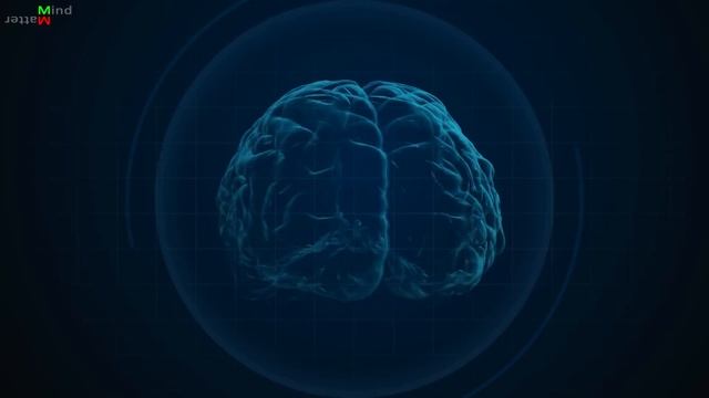 [1] Нейробиология сознания. Введение