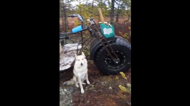 Трицикл 3Х3 Скарабей, болотоход-амфибия