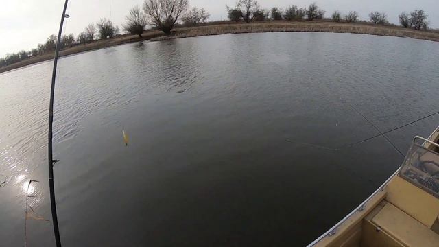 Рыбалка в Астрахани 2020. Зима, спининг, балансир, окунь. смотреть онлайн